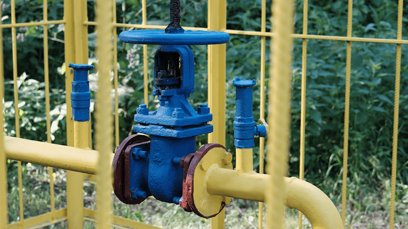 How Can a Sewer Backflow Preventer Valve Protect Mississauga Homes During Heavy Fall Rain?
