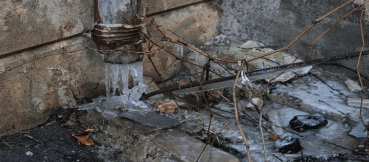 Drain Repair Service in Milton