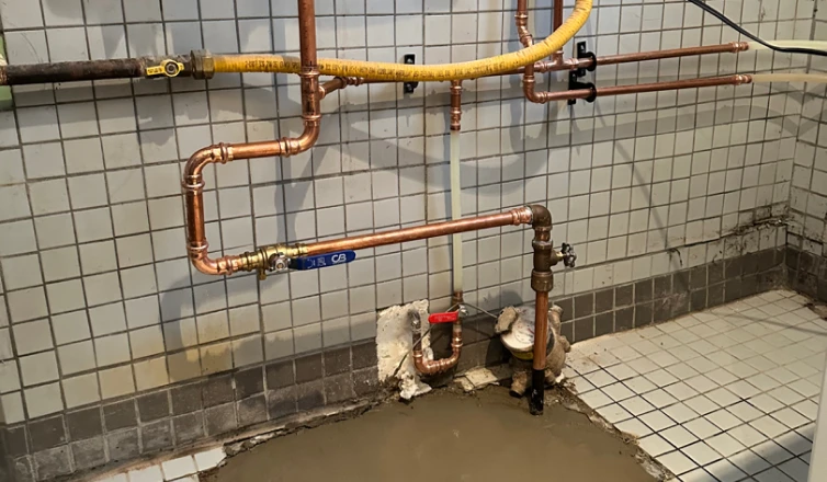 Basement Renovation