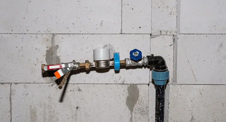 Backflow Preventer Valve